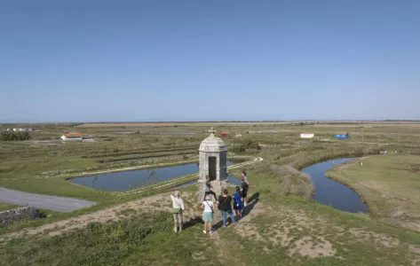 Les marais de Brouage